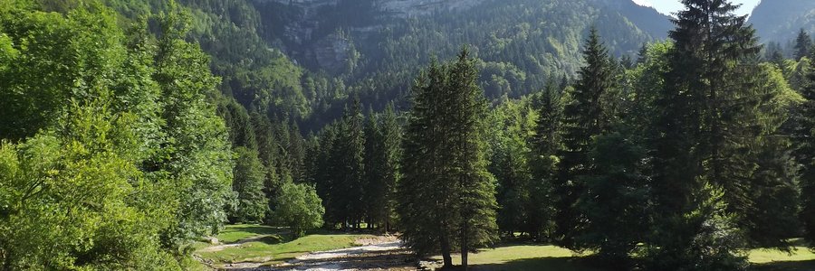 agence automatisation Isère 38 (Auvergne-Rhône-Alpes)