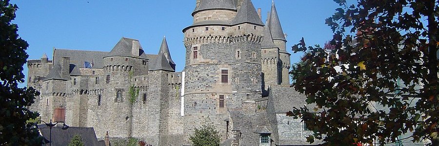 agence automatisation Vitré (35500) Ille-et-Vilaine 35 (Bretagne)