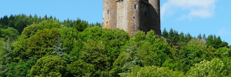 agence ia Cantal 15 (Auvergne-Rhône-Alpes)