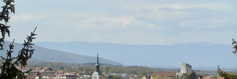 agence ia La Roche-sur-Foron (74800) Haute-Savoie 74 (Auvergne-Rhône-Alpes)
