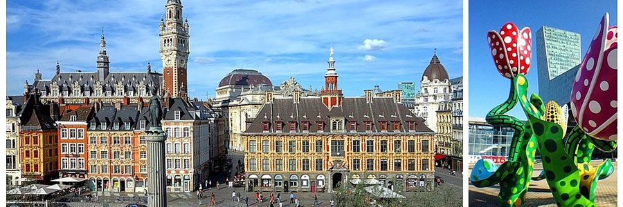 agence ia Lille (59000) Nord 59 (Hauts-de-France)