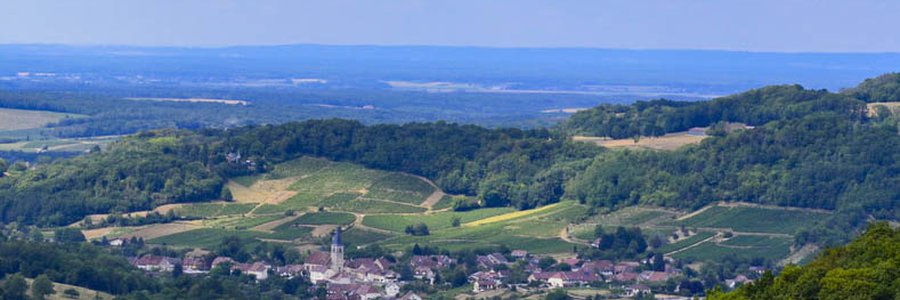 agence ia Mesnay (39400) Jura 39 (Bourgogne-Franche-Comté)