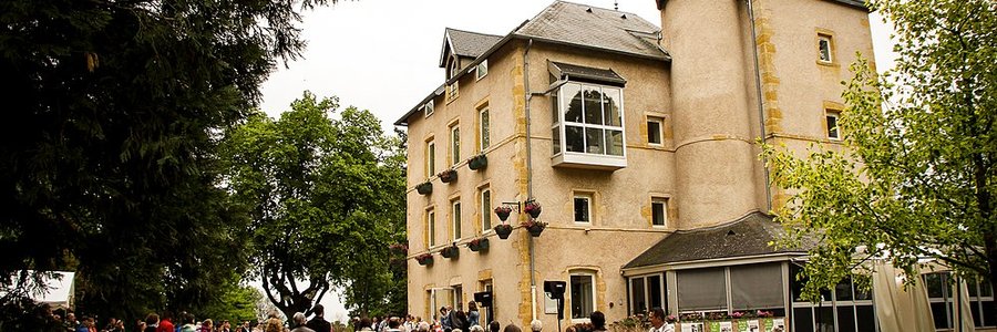 agence ia Riorges (42153) Loire 42 (Auvergne-Rhône-Alpes)