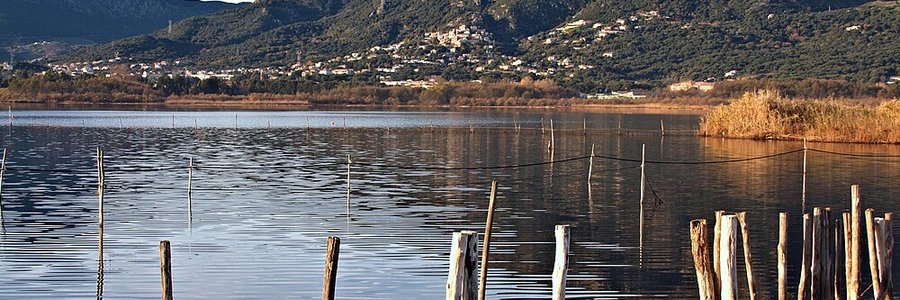 agence transformation digitale Biguglia (20620) Haute-Corse 2B (Corse)