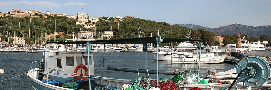 agence transformation digitale Porto-Vecchio (20137) Corse-du-Sud 2A (Corse)